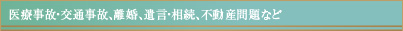 医療事故・交通事故、離婚、遺言・相続、不動産問題など